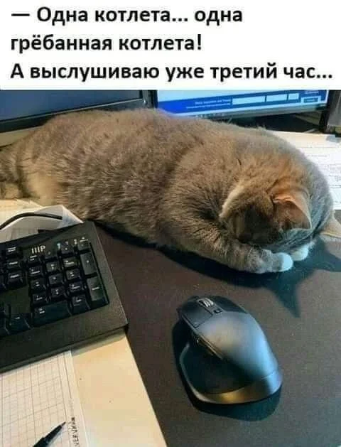 25 сочных мемов про жареное мясо, от которых слюнки потекут 25 сочных мемов про жареное мясо, от которых слюнки потекут мемы, картинки, приколы, еда, мясо, шашлык, жареное, юмор