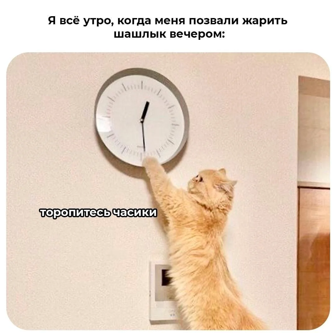 25 сочных мемов про жареное мясо, от которых слюнки потекут 25 сочных мемов про жареное мясо, от которых слюнки потекут мемы, картинки, приколы, еда, мясо, шашлык, жареное, юмор