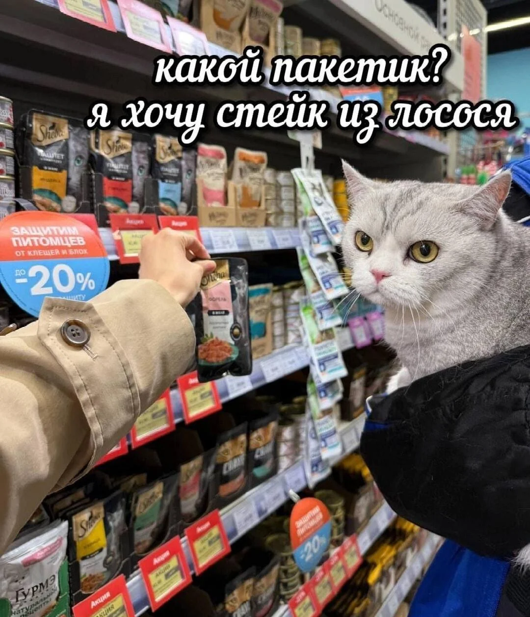 25 сочных мемов про жареное мясо, от которых слюнки потекут 25 сочных мемов про жареное мясо, от которых слюнки потекут мемы, картинки, приколы, еда, мясо, шашлык, жареное, юмор