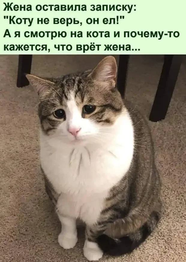 Жизненные приколы и неожиданные выводы в картинках Жизненные приколы и неожиданные выводы в картинках приколы, картинки, анекдоты, юмор