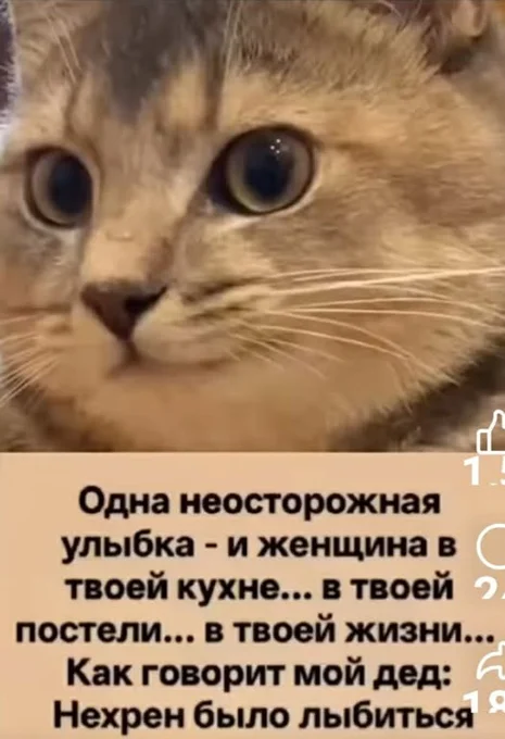 Пчелы не кусают, а обезьяны бурят: сборник убойных историй Пчелы не кусают, а обезьяны бурят: сборник убойных историй юмор, анекдоты, истории из жизни, смешное