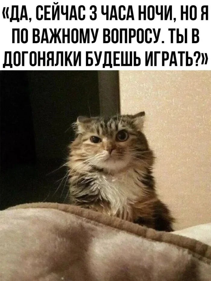 Планы на побег, решетки в туалете и чистота в телефоне: мемы дня Планы на побег, решетки в туалете и чистота в телефоне: мемы дня мемы, юмор, интернет-мемы, приколы