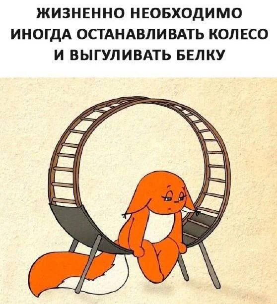 Планы на побег, решетки в туалете и чистота в телефоне: мемы дня Планы на побег, решетки в туалете и чистота в телефоне: мемы дня мемы, юмор, интернет-мемы, приколы