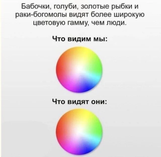 Когда фантазия зашкаливает: 15 кадров, от которых выпадают зубы приколы, юмор, картинки, смешное
