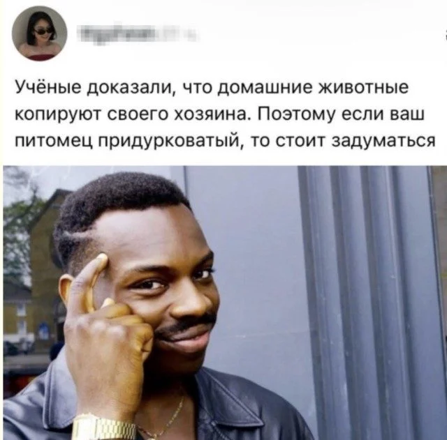 Когда фантазия зашкаливает: 15 кадров, от которых выпадают зубы приколы, юмор, картинки, смешное