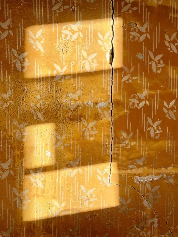 Как снимки на iPhone стали искусством: лучшие кадры IPPAwards IPPAwards, iPhone, фотография, конкурс, мобильная съемка, искусство