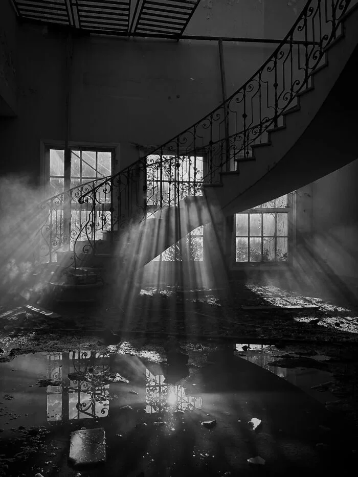 Как снимки на iPhone стали искусством: лучшие кадры IPPAwards IPPAwards, iPhone, фотография, конкурс, мобильная съемка, искусство