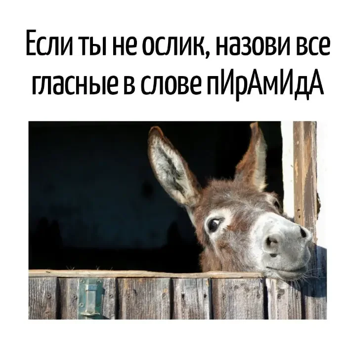 Невинный текст с подвохом: 20 кадров, где слова играют злую шутку каламбуры, игра слов, юмор, подборка, приколы