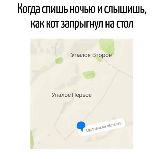 Невинный текст с подвохом: 20 кадров, где слова играют злую шутку каламбуры, игра слов, юмор, подборка, приколы
