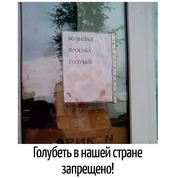 Невинный текст с подвохом: 20 кадров, где слова играют злую шутку каламбуры, игра слов, юмор, подборка, приколы