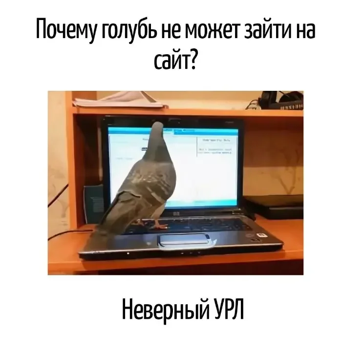 Невинный текст с подвохом: 20 кадров, где слова играют злую шутку каламбуры, игра слов, юмор, подборка, приколы