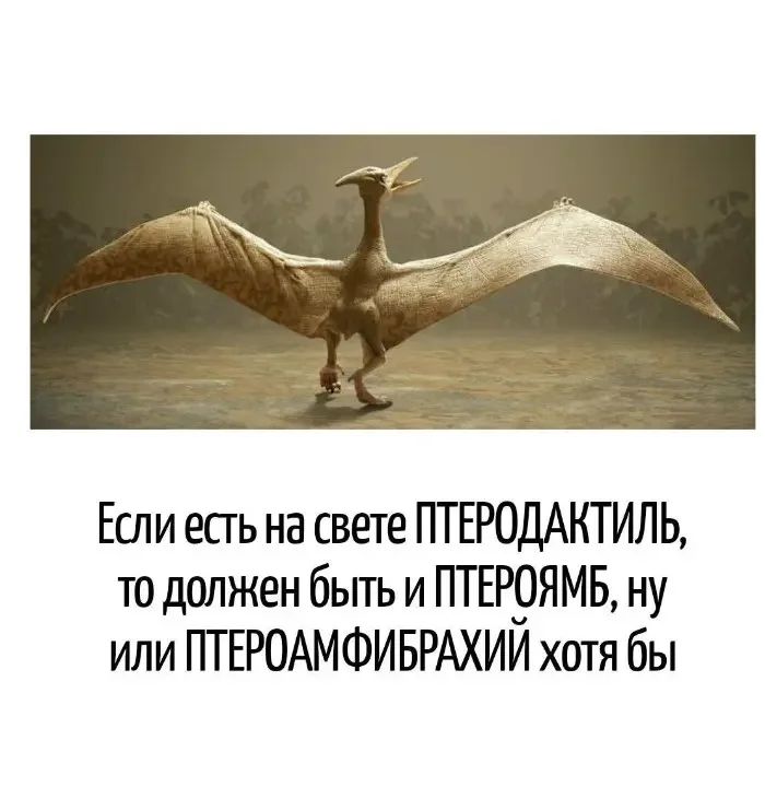 Невинный текст с подвохом: 20 кадров, где слова играют злую шутку каламбуры, игра слов, юмор, подборка, приколы