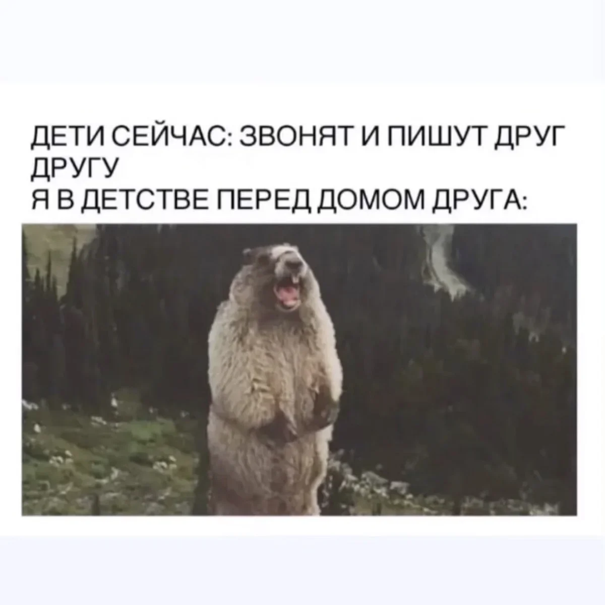 Вечерний юмор: сбрось напряжение с подборкой мемов юмор, мемы, подборка, суббота