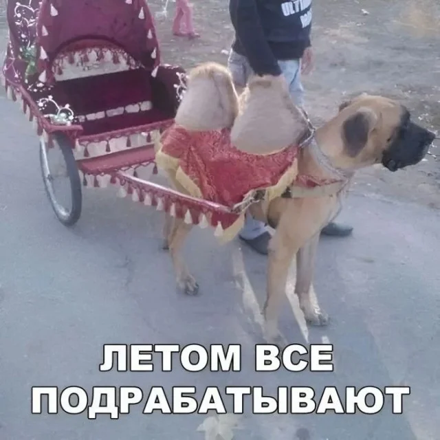 Пятничный движ: угарные мемы и приколы приколы, мемы, подборка, юмор, картинки