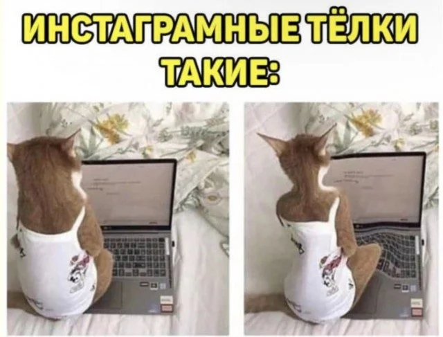 Сборник мемов, который порвет шаблон Сборник мемов, который порвет шаблон мемы, приколы, юмор, картинки, подборка