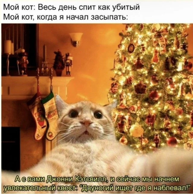 Сборник мемов, который порвет шаблон Сборник мемов, который порвет шаблон мемы, приколы, юмор, картинки, подборка