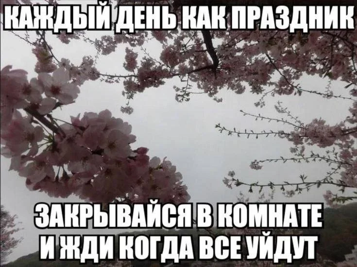 Кот в экскаваторе и другие мемы: утренняя порция смеха