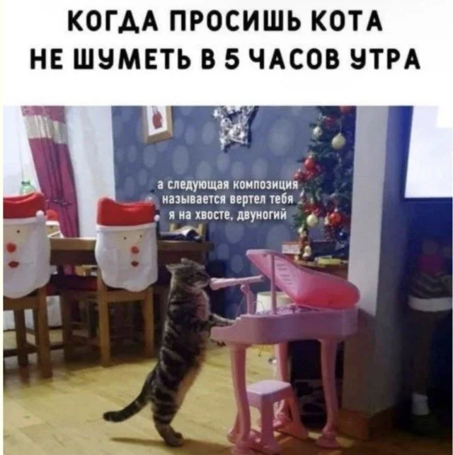 Смех без тормозов: подборка, где всё не так, как кажется Смех без тормозов: подборка, где всё не так, как кажется приколы, мемы, смех, картинки, подборка