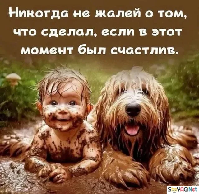 Цитаты, от которых мурашки: будто прочитали мои мысли Цитаты, от которых мурашки: будто прочитали мои мысли цитаты, мысли, жизненное, приколы, подборка