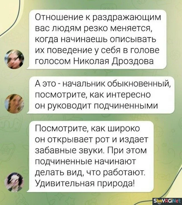 На работу как на праздник: убойные рабочие приколы рабочие приколы, юмор, работа, подборка