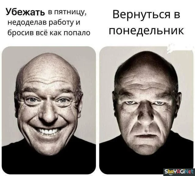 На работу как на праздник: убойные рабочие приколы