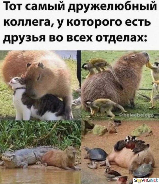 На работу как на праздник: убойные рабочие приколы рабочие приколы, юмор, работа, подборка