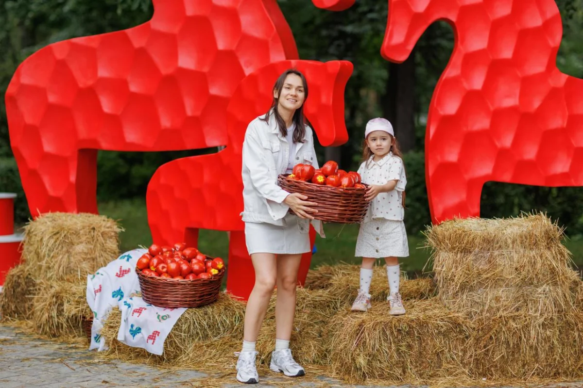 80 тысяч человек, хоровод и прялка: как прошёл фестиваль «Фолково»