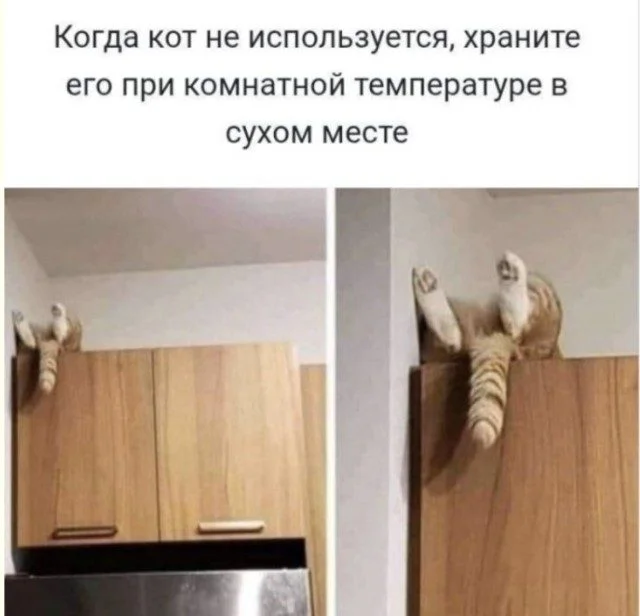 Отличная подборка для поднятия настроения приколы, картинки, юмор, подборка, настроение
