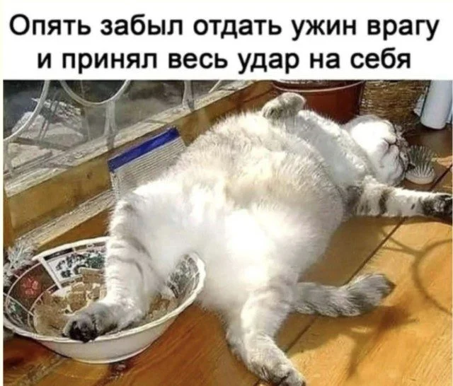 Отличная подборка для поднятия настроения приколы, картинки, юмор, подборка, настроение