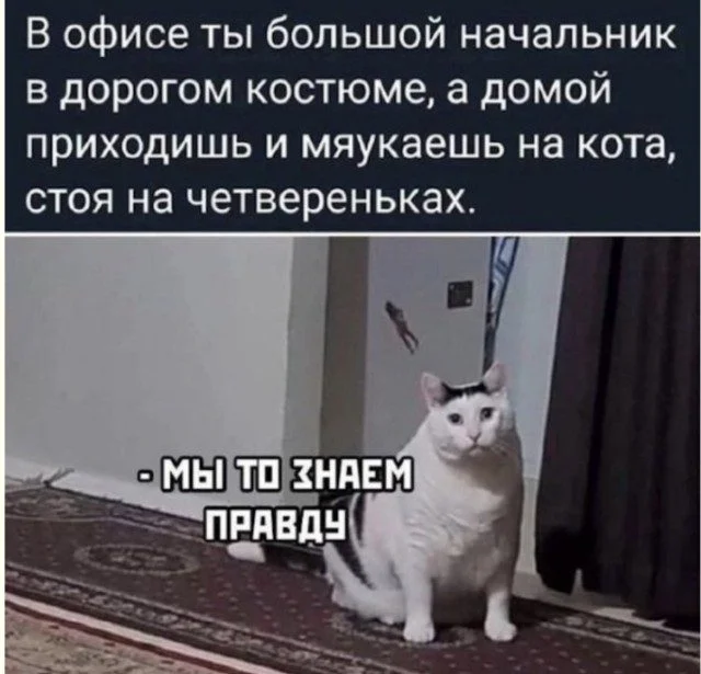Улыбка загружена: мемы, которые работают без ошибок мемы, приколы, юмор, картинки, подборка