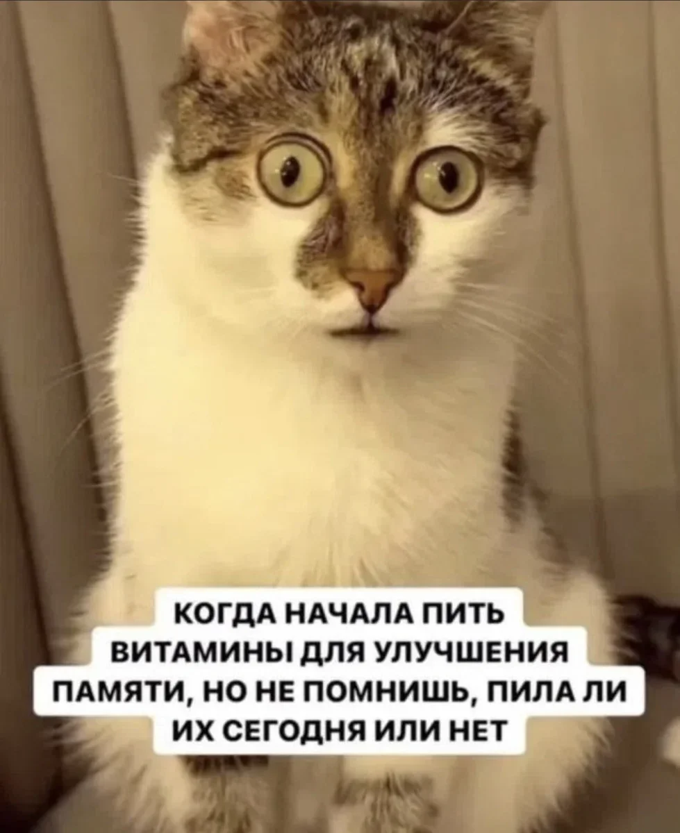 Юмор за день: свежая подборка мемов к середине июля юмор, мемы, приколы, картинки, подборка