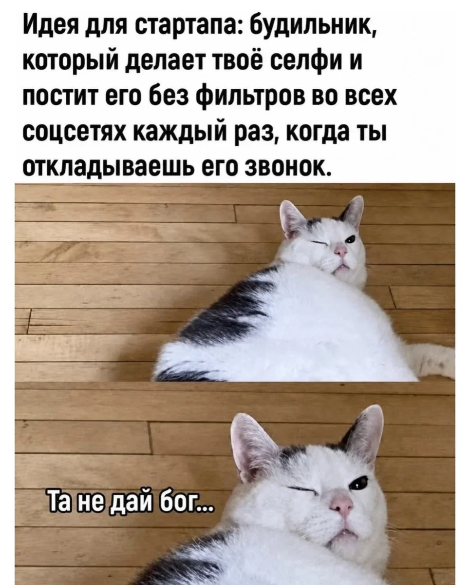 Юмор за день: свежая подборка мемов к середине июля юмор, мемы, приколы, картинки, подборка