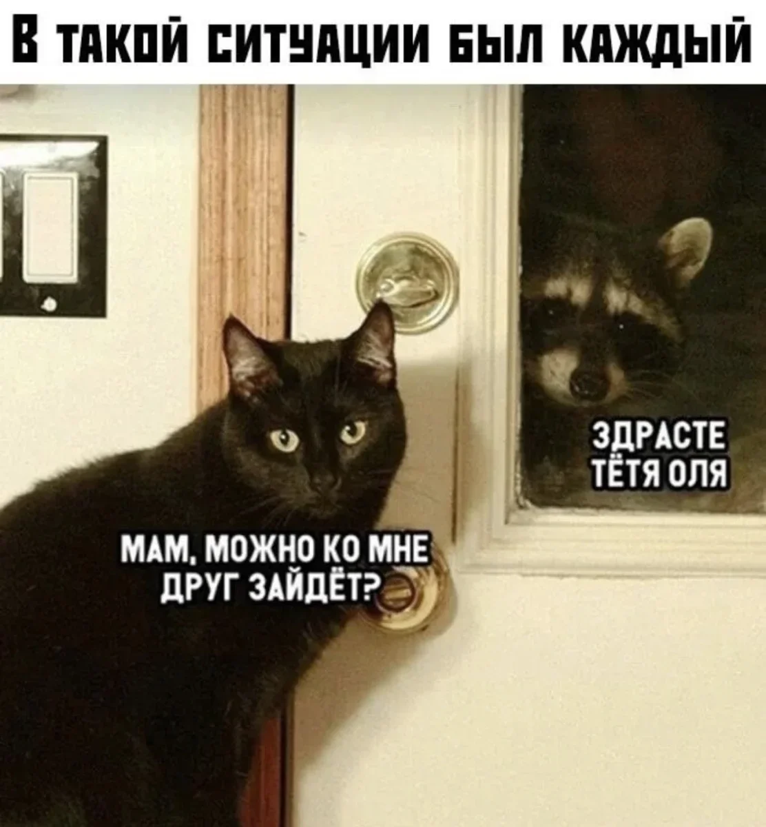 Юмор за день: свежая подборка мемов к середине июля юмор, мемы, приколы, картинки, подборка
