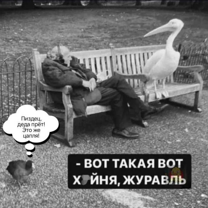 Среда — не повод унывать: топ мемов дня юмор, мемы, приколы, среда, подборка