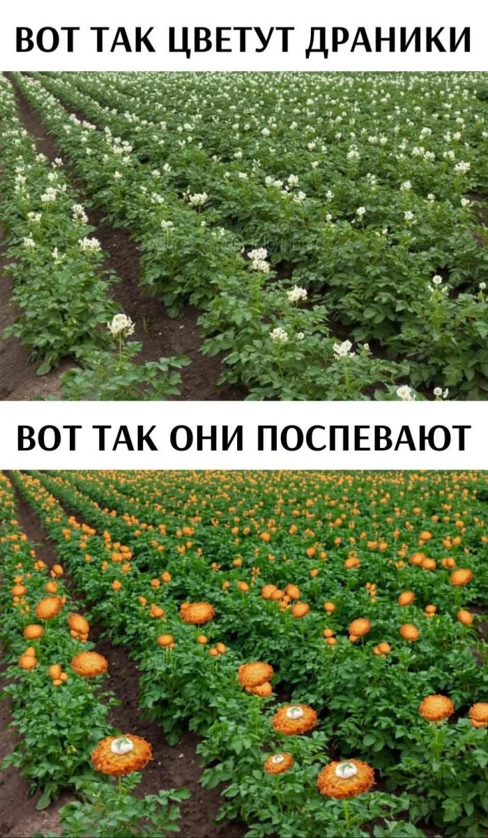 Среда — не повод унывать: топ мемов дня юмор, мемы, приколы, среда, подборка