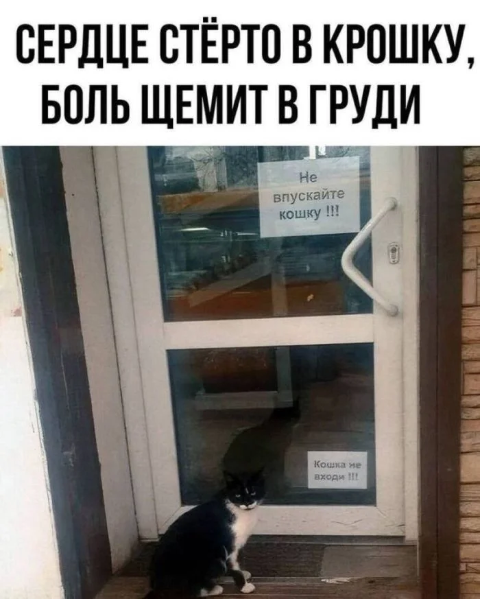 Среда — не повод унывать: топ мемов дня юмор, мемы, приколы, среда, подборка