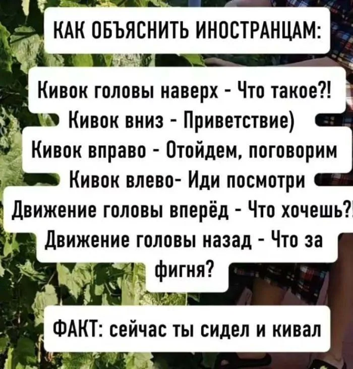 Среда — не повод унывать: топ мемов дня юмор, мемы, приколы, среда, подборка