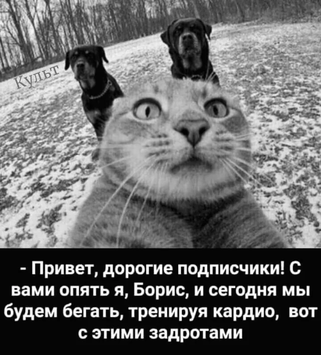 Смех до выходных: убойная подборка мемов на середину недели юмор, мемы, среда, подборка картинок, приколы