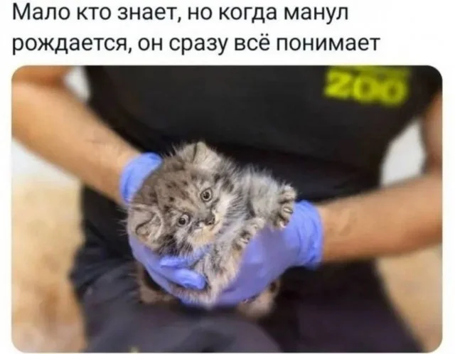 Смех до выходных: убойная подборка мемов на середину недели юмор, мемы, среда, подборка картинок, приколы
