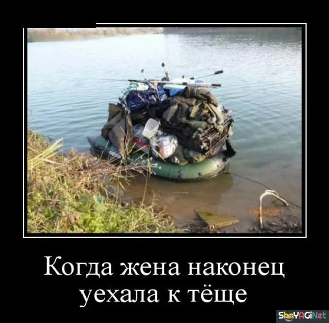 Заряд позитива: убойные демотиваторы демотиваторы,приколы,юмор,подборка
