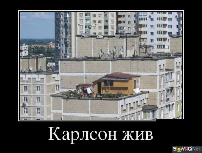 Заряд позитива: убойные демотиваторы демотиваторы,приколы,юмор,подборка