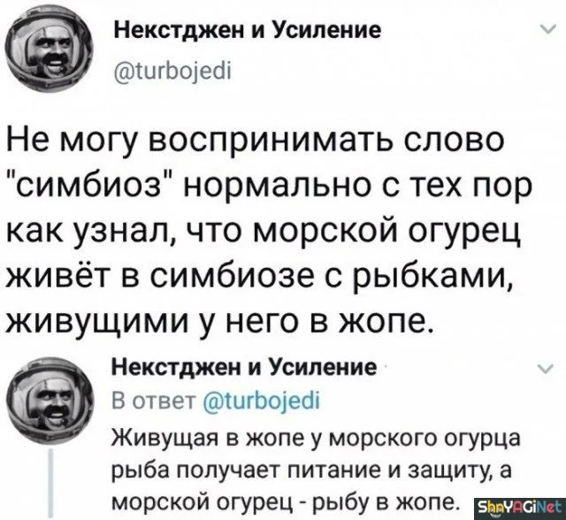 Июльский юмор: лучшие комментарии из соцсетей Июльский юмор: лучшие комментарии из соцсетей приколы, комментарии, соцсети, юмор, подборка