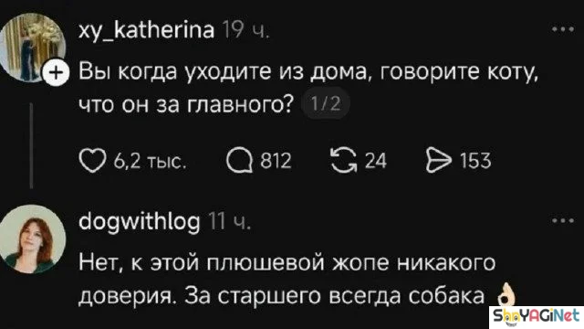 Июльский юмор: лучшие комментарии из соцсетей Июльский юмор: лучшие комментарии из соцсетей приколы, комментарии, соцсети, юмор, подборка