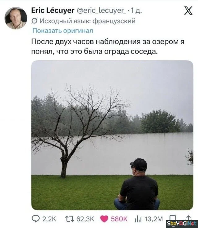 Июльский юмор: лучшие комментарии из соцсетей Июльский юмор: лучшие комментарии из соцсетей приколы, комментарии, соцсети, юмор, подборка