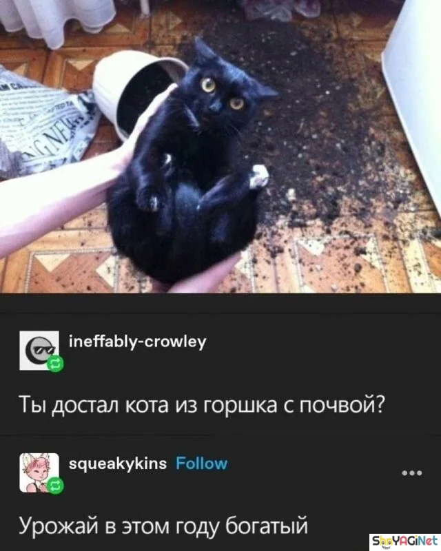 Угарные комментарии: то, что заставит вас смеяться в голос Угарные комментарии: то, что заставит вас смеяться в голос юмор, комментарии, соцсети, приколы, смешное