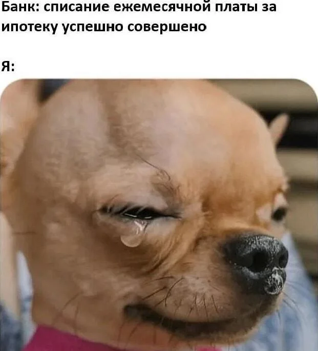 30+ смешных мемов про ипотеку: когда платить — смешно, а ставки — нет 30+ смешных мемов про ипотеку: когда платить — смешно, а ставки — нет ипотека, мемы, приколы, картинки, юмор, кредиты