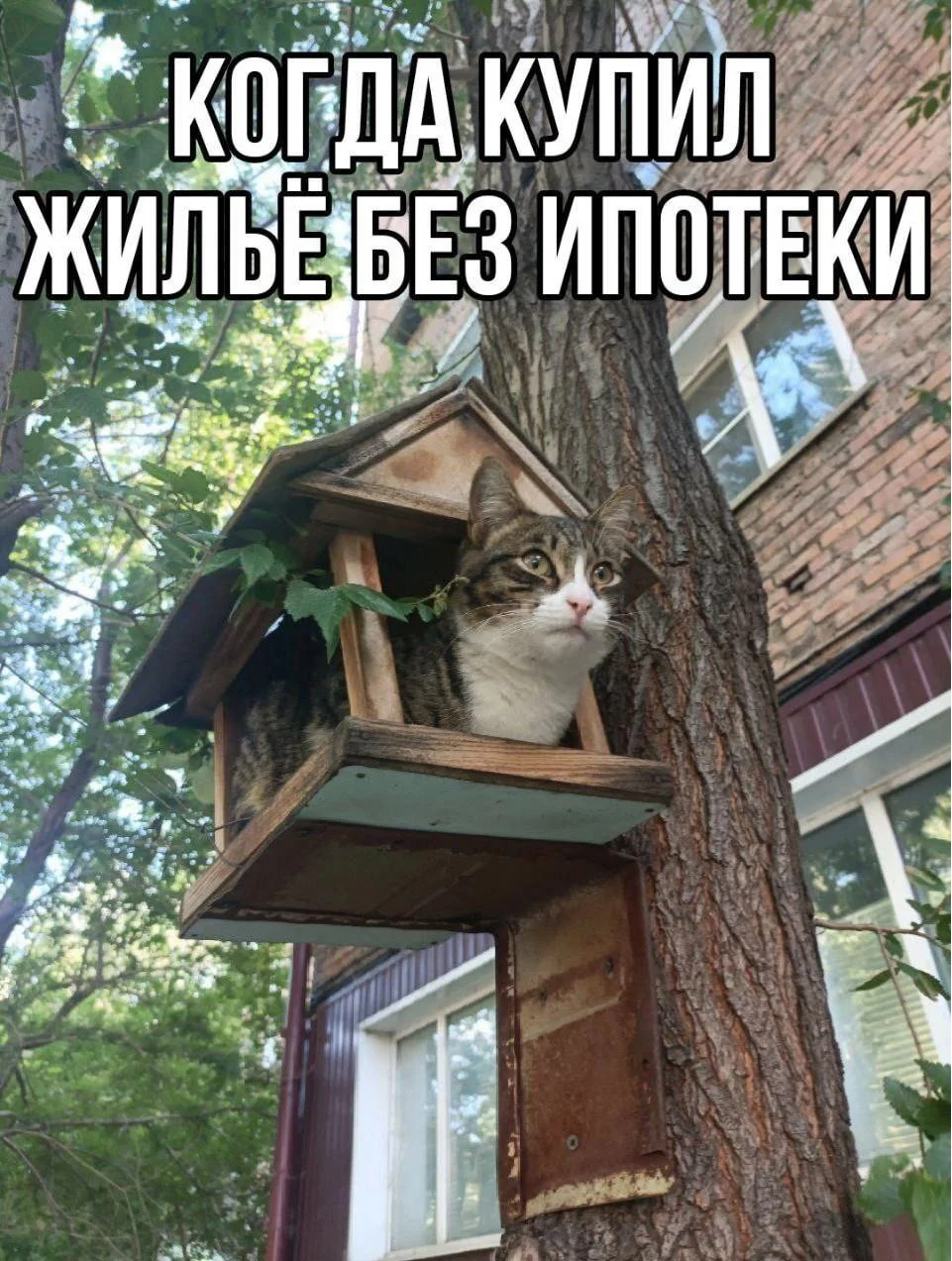 30+ смешных мемов про ипотеку: когда платить — смешно, а ставки — нет 30+ смешных мемов про ипотеку: когда платить — смешно, а ставки — нет ипотека, мемы, приколы, картинки, юмор, кредиты