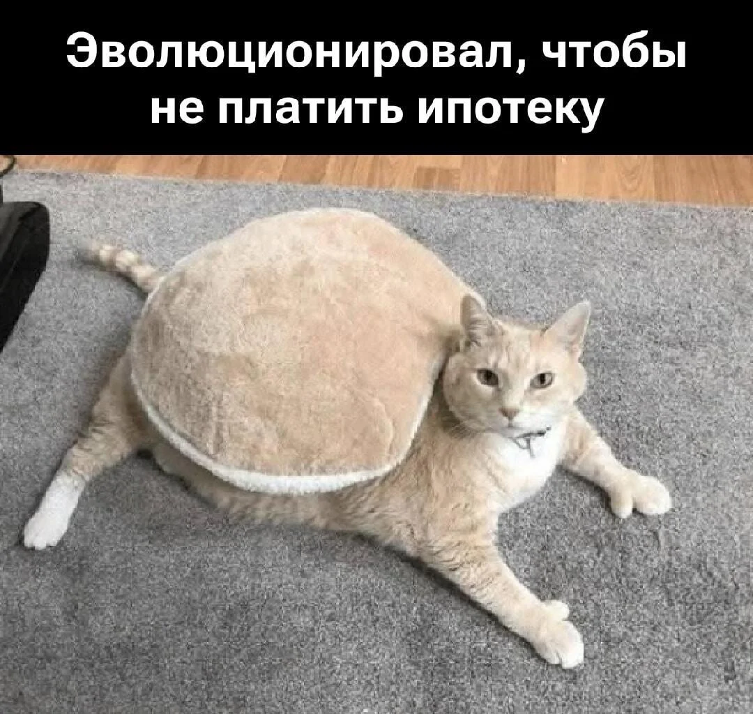 30+ смешных мемов про ипотеку: когда платить — смешно, а ставки — нет 30+ смешных мемов про ипотеку: когда платить — смешно, а ставки — нет ипотека, мемы, приколы, картинки, юмор, кредиты