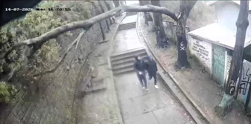 В Чили на парня рухнула ветка: момент попал на видео