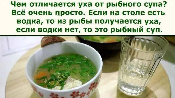 Ты — то, что ты ешь: угарная подборка мемов про еду